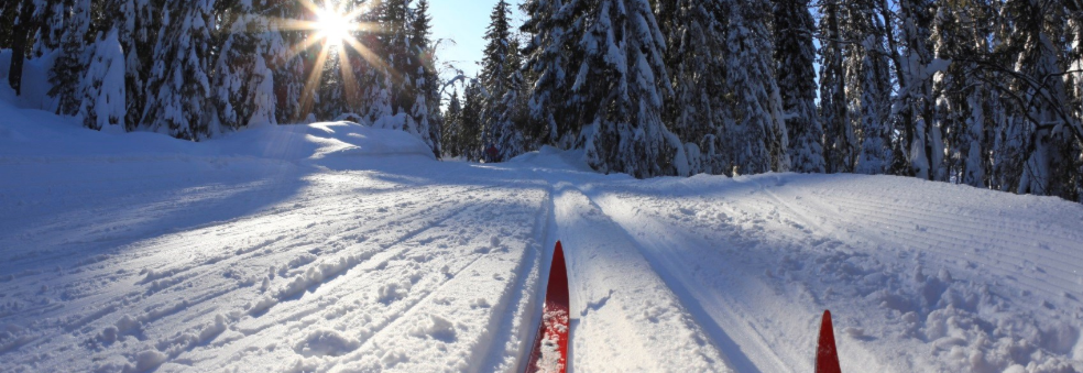 Ski på Topp Narvik